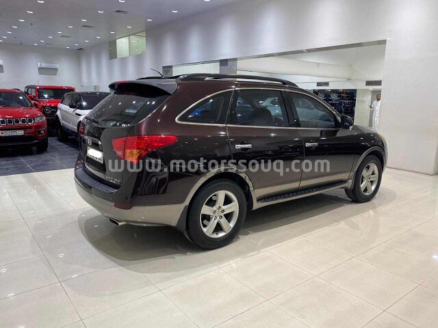 2008 Hyundai County