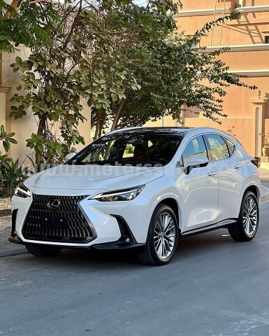 2022 Lexus NX