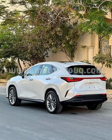 2022 Lexus NX