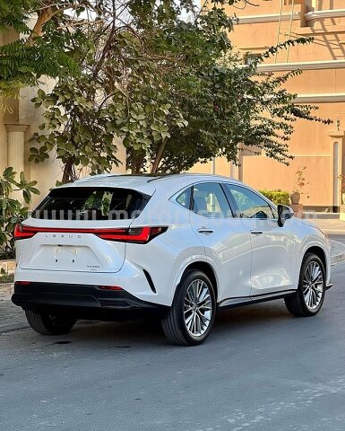2022 Lexus NX