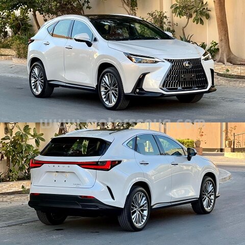 2022 Lexus NX