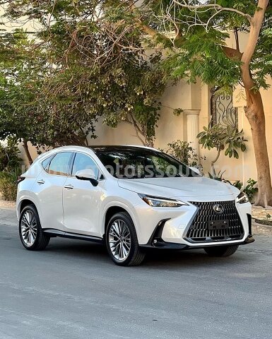 2022 Lexus NX