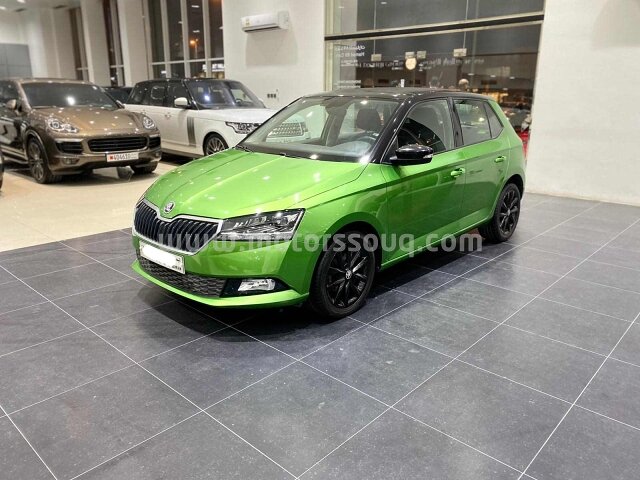 2020 سكودا أخرى