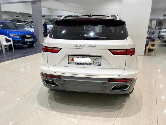 2020 Zotye T700