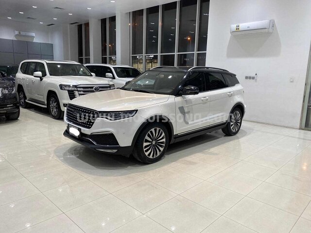 2020 Zotye T700