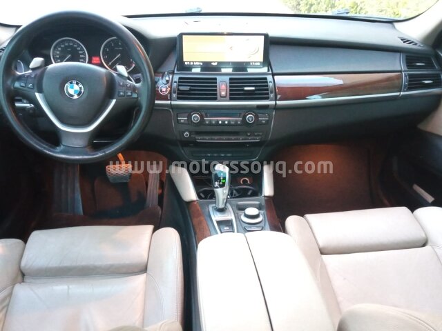2009 BMW X6