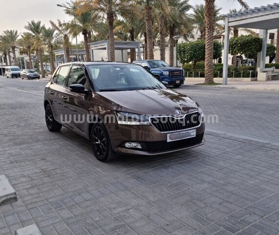 2020 Skoda Other