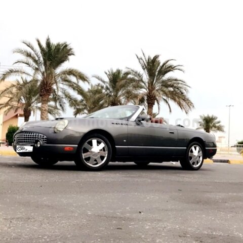 2003 فورد ثندربيرد