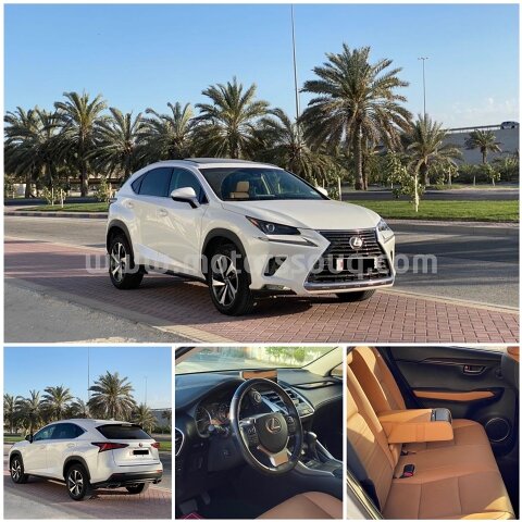 2020 Lexus NX