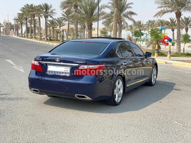 2010 Lexus LS