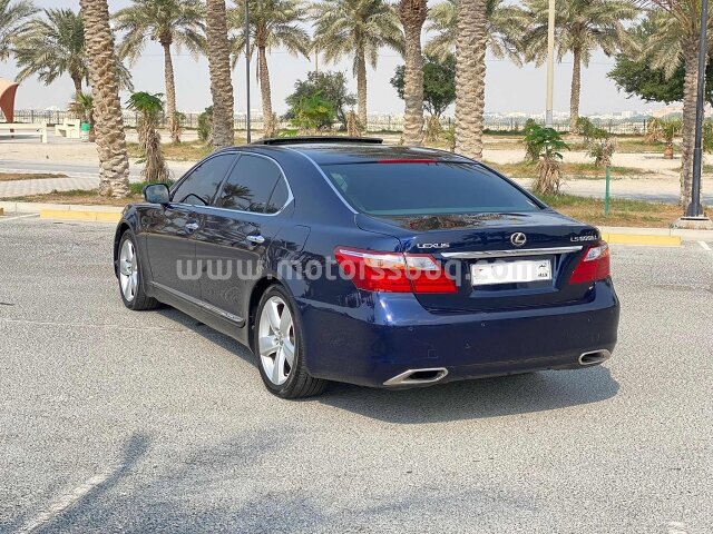 2010 Lexus LS