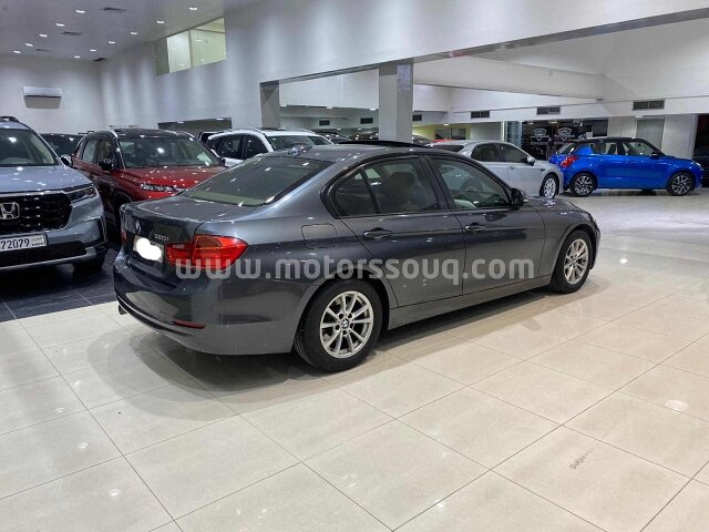 2013 BMW 320