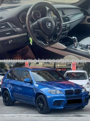 2010 BMW X5M