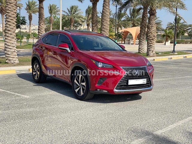2020 Lexus NX