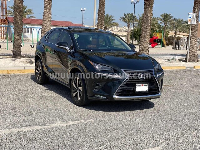 2021 Lexus NX