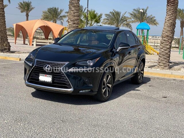 2021 لكزس إن إكس