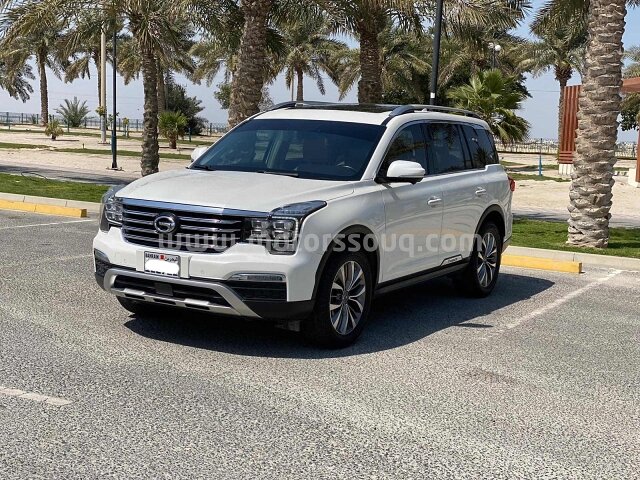 2019 GAC GAS 3