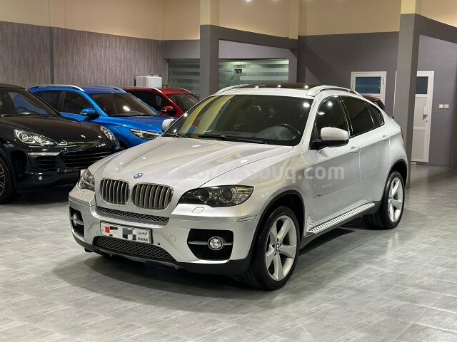 2010 BMW X6