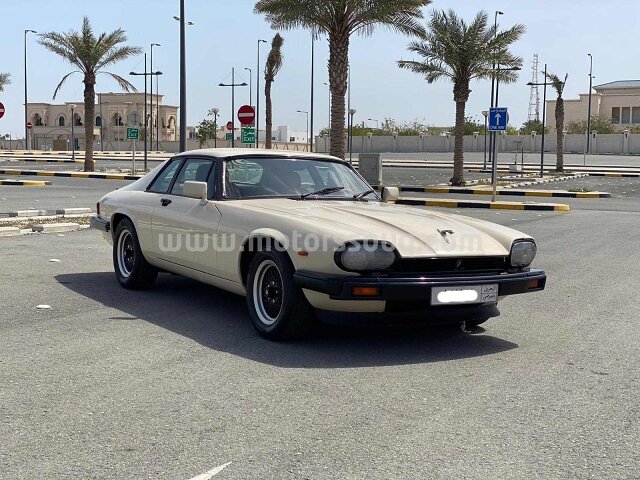 1981 جاغوار إكس جيه