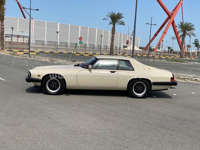 1981 جاغوار إكس جيه