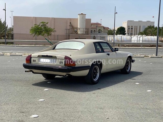 1981 جاغوار إكس جيه