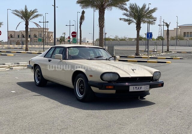 1981 جاغوار إكس جيه