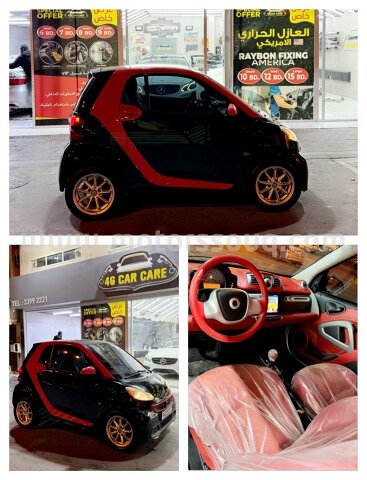 2011 Smart Other