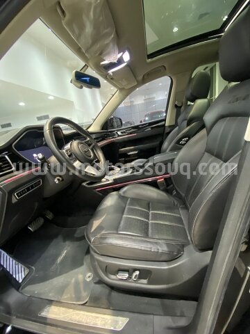 2020 Zotye T700