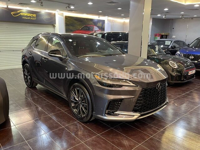 2023 Lexus RX