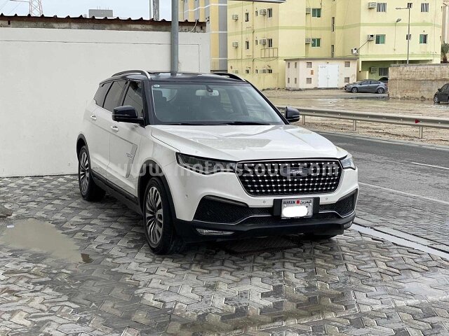 2020 Zotye T700