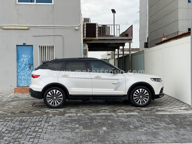 2020 Zotye T700