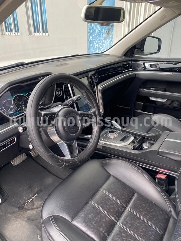 2020 Zotye T700