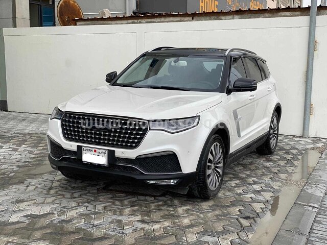 2020 Zotye T700