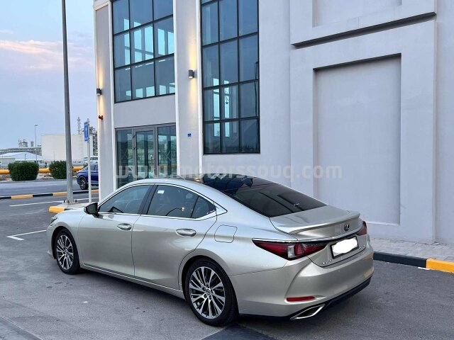 2019 Lexus ES