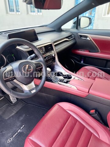 2019 لكزس آر إكس