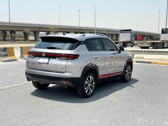 2024 Changan Other