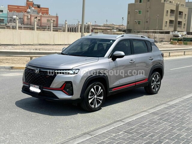 2024 Changan Other