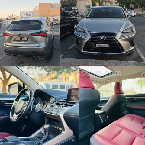 2019 Lexus NX