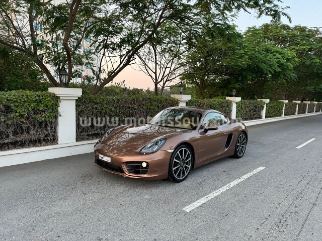 2014 Porsche Cayman S