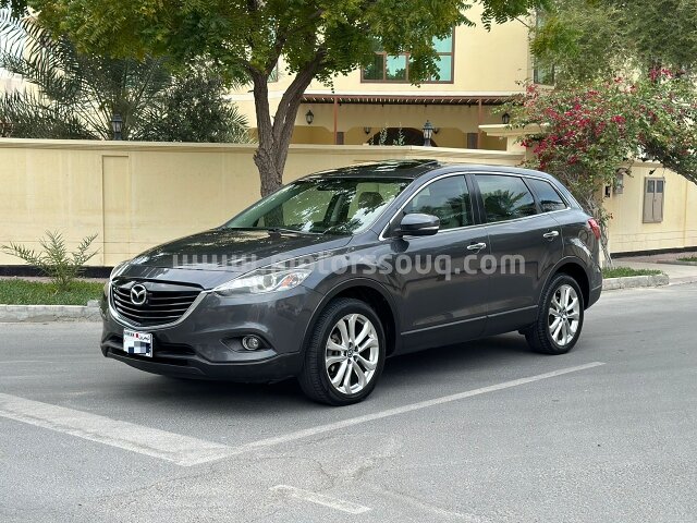 2013 Mazda CX-9