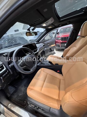 2023 Lexus RX