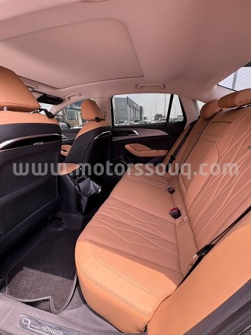 2024 Hongqi Ousado