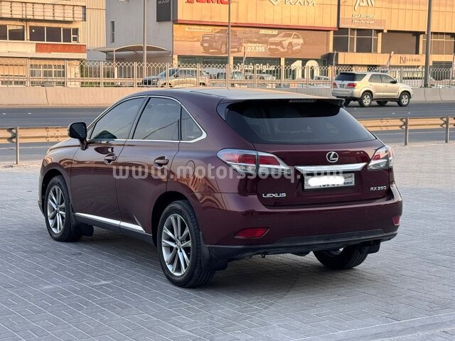 2013 Lexus RX
