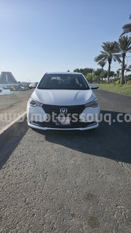 2023 ألفا روميو أخرى