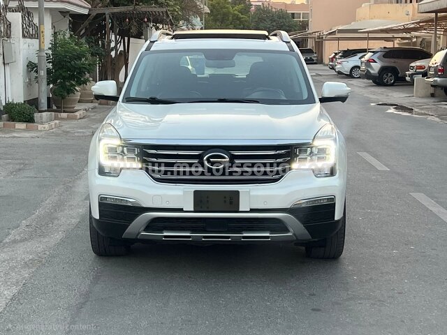 2019 GAC Other