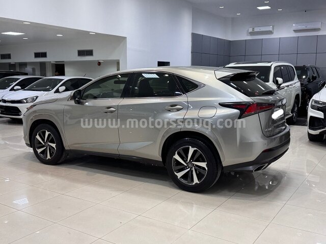 2020 Lexus NX