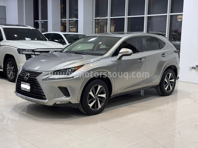 2020 Lexus NX