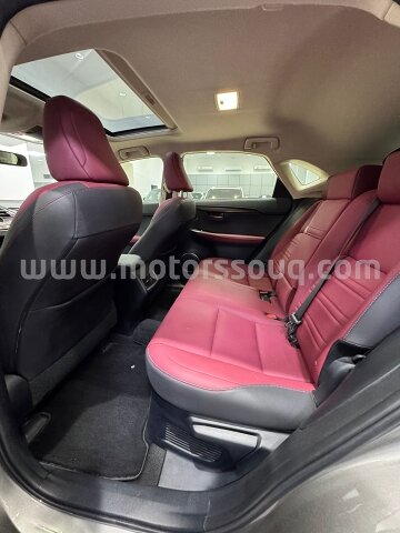 2020 Lexus NX