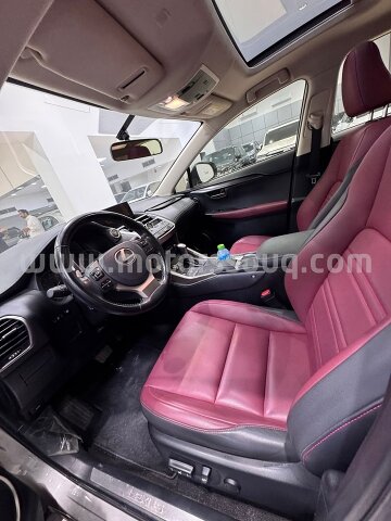 2020 Lexus NX