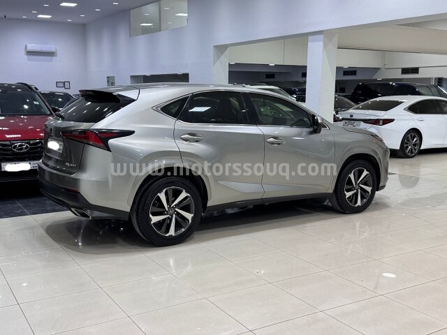 2020 Lexus NX